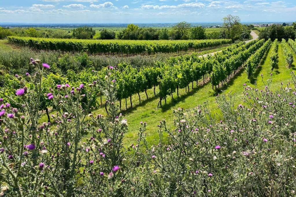 Ruhe Und Entspannung Erpolzheim Buitenkant foto